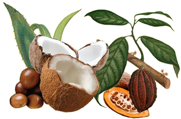 coconut, cacaobeans and other natural ingredients